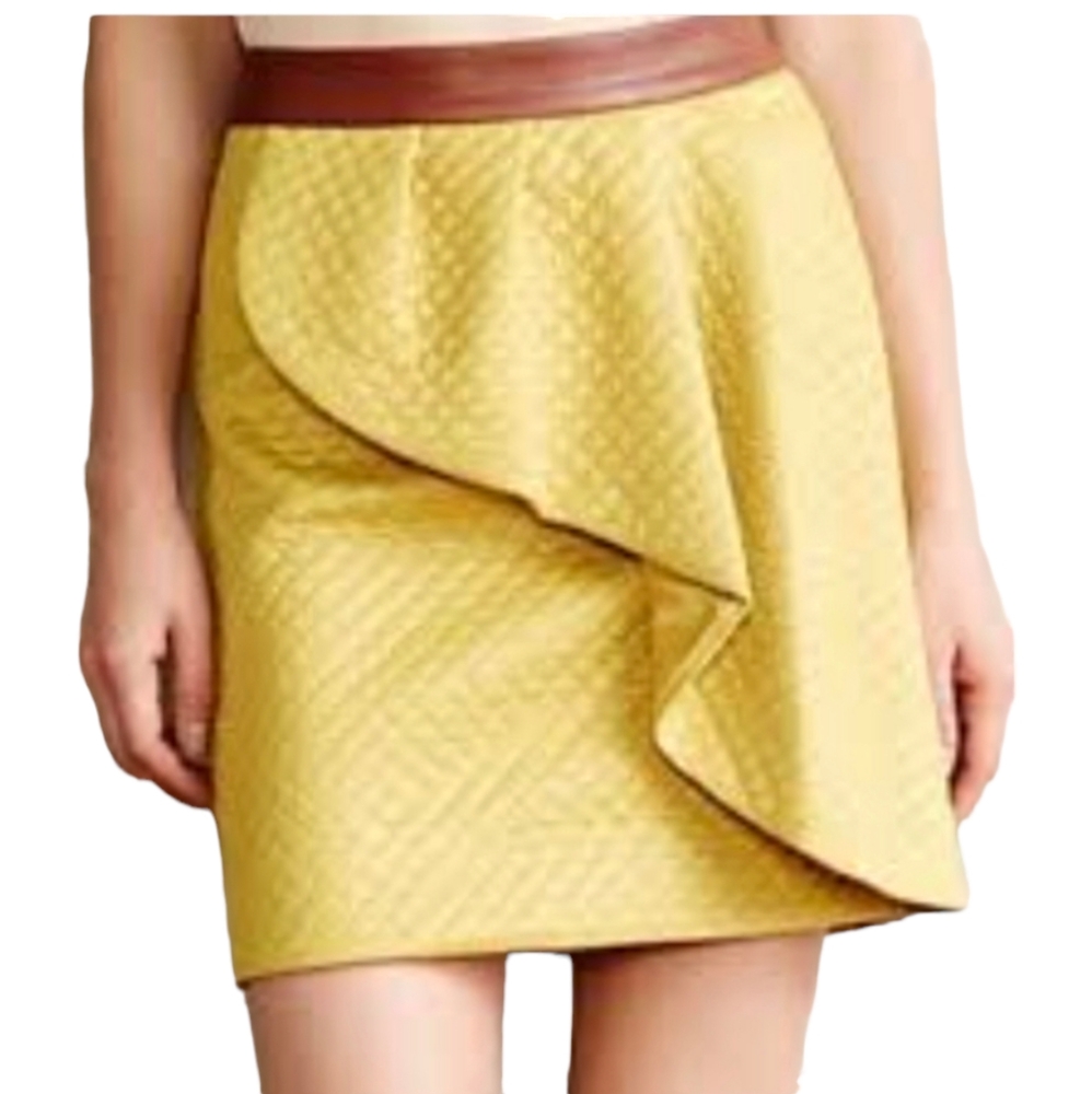 HD IN PARIS• Anthropologie Lemon Petal Quilted Pleated Lined Skirt Sz 4